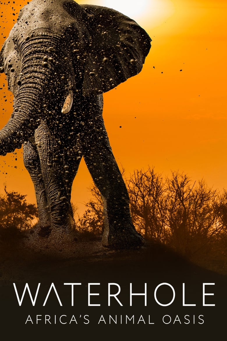 Poster of Waterhole: Africa's Animal Oasis