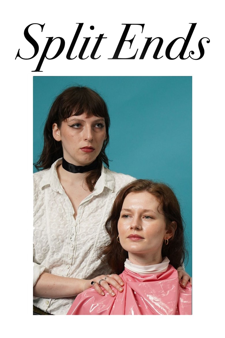 Poster of Split Ends