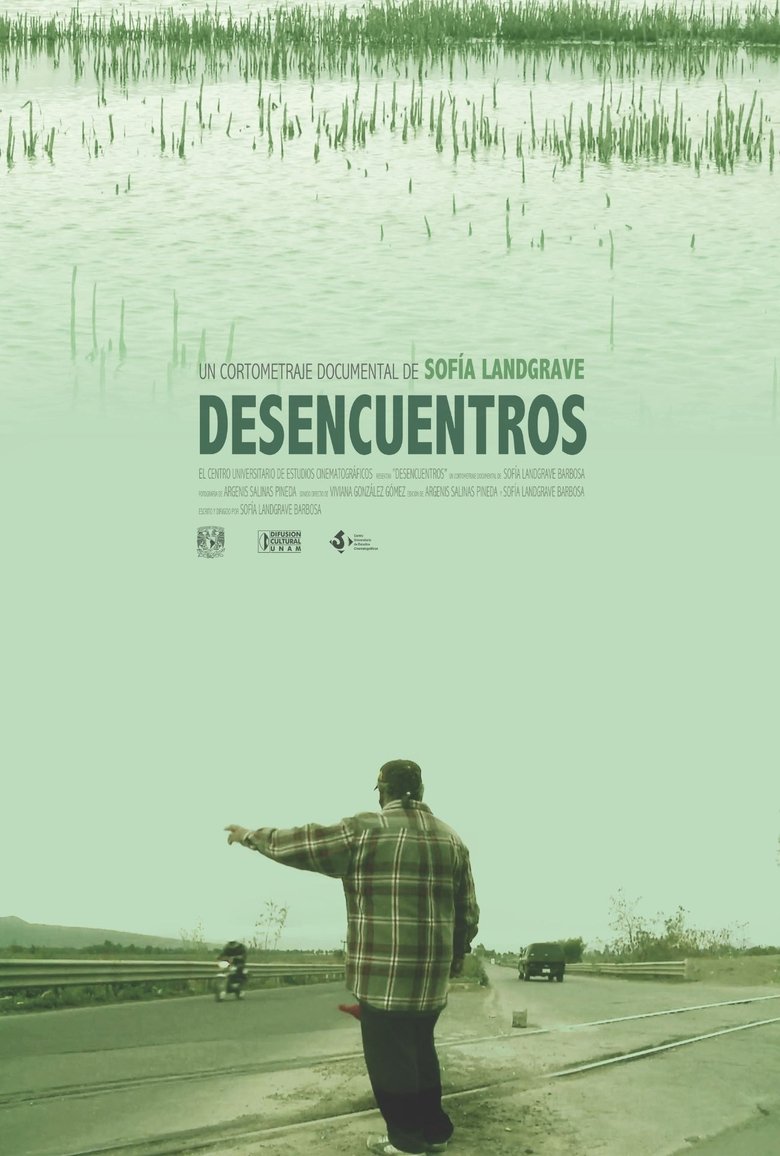 Poster of Desencuentros