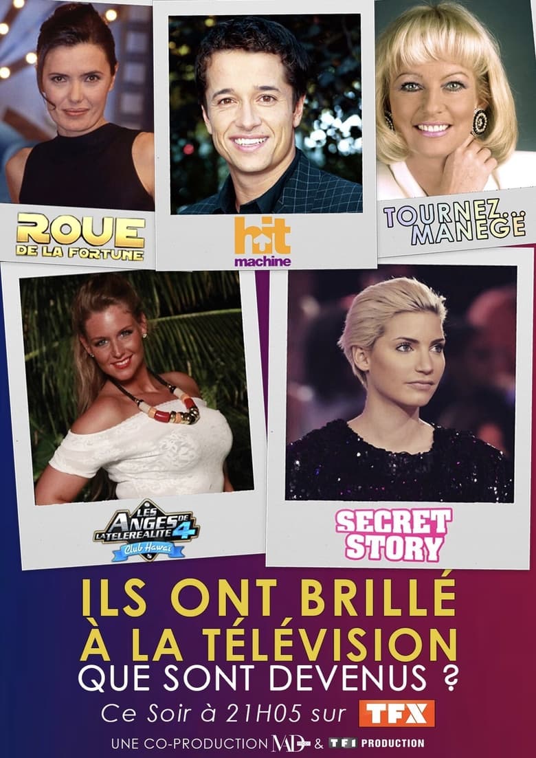 Poster of Ils ont brillé à la télé : que sont-ils devenus ?