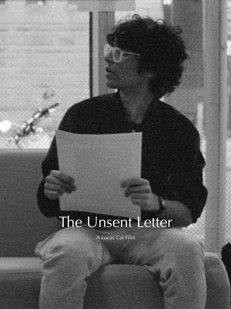 Poster of The Unsent Letter