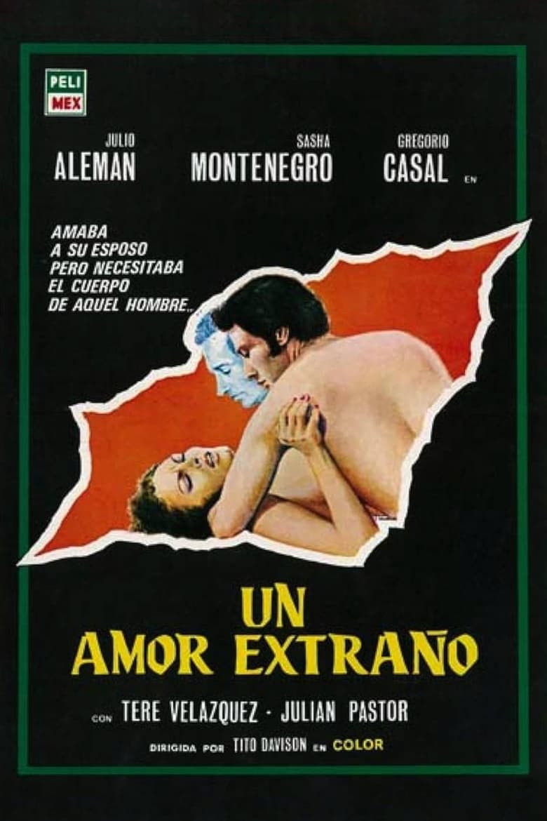 Poster of Un amor extraño