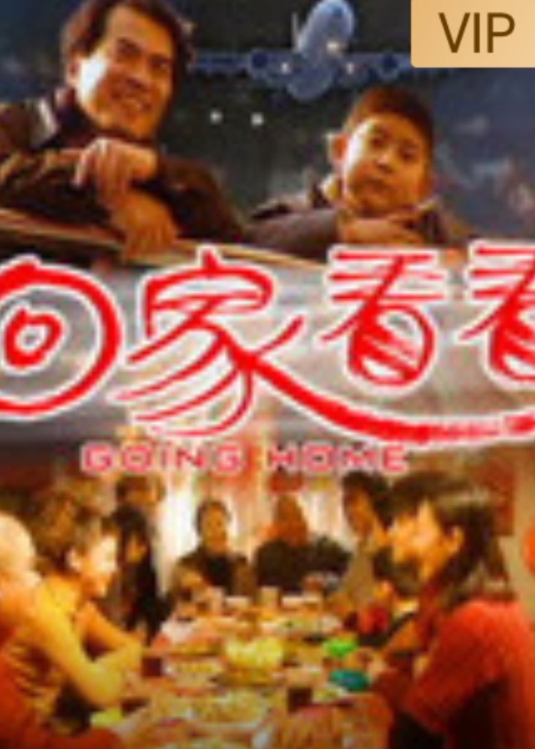 Poster of 回家看看