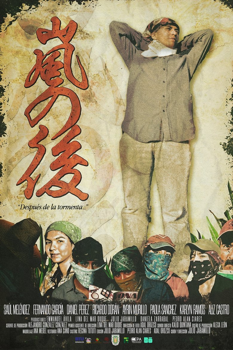 Poster of After the storm...