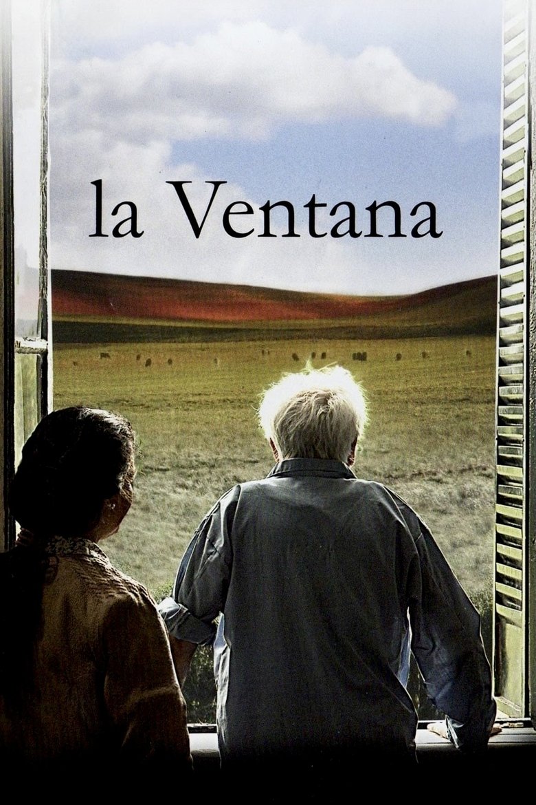 Poster of The Window