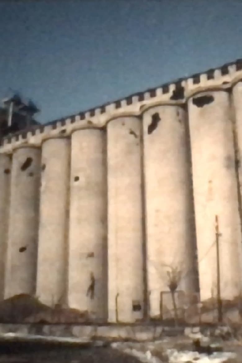 Poster of Silo Danube, Vukovar