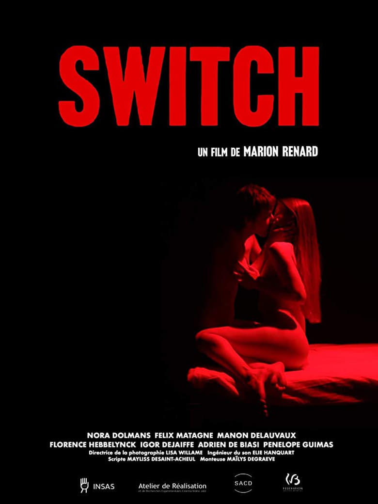 Poster of Switch