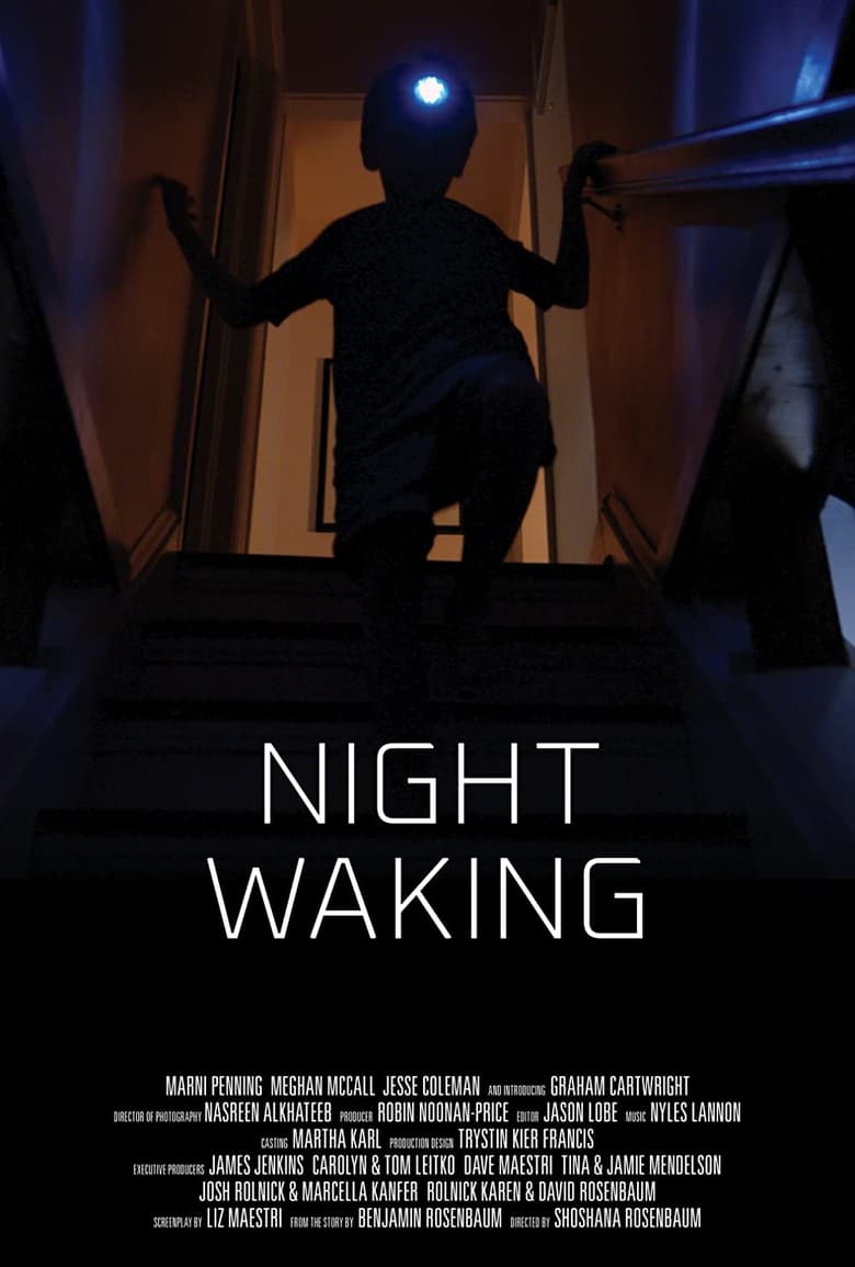 Poster of Night Waking