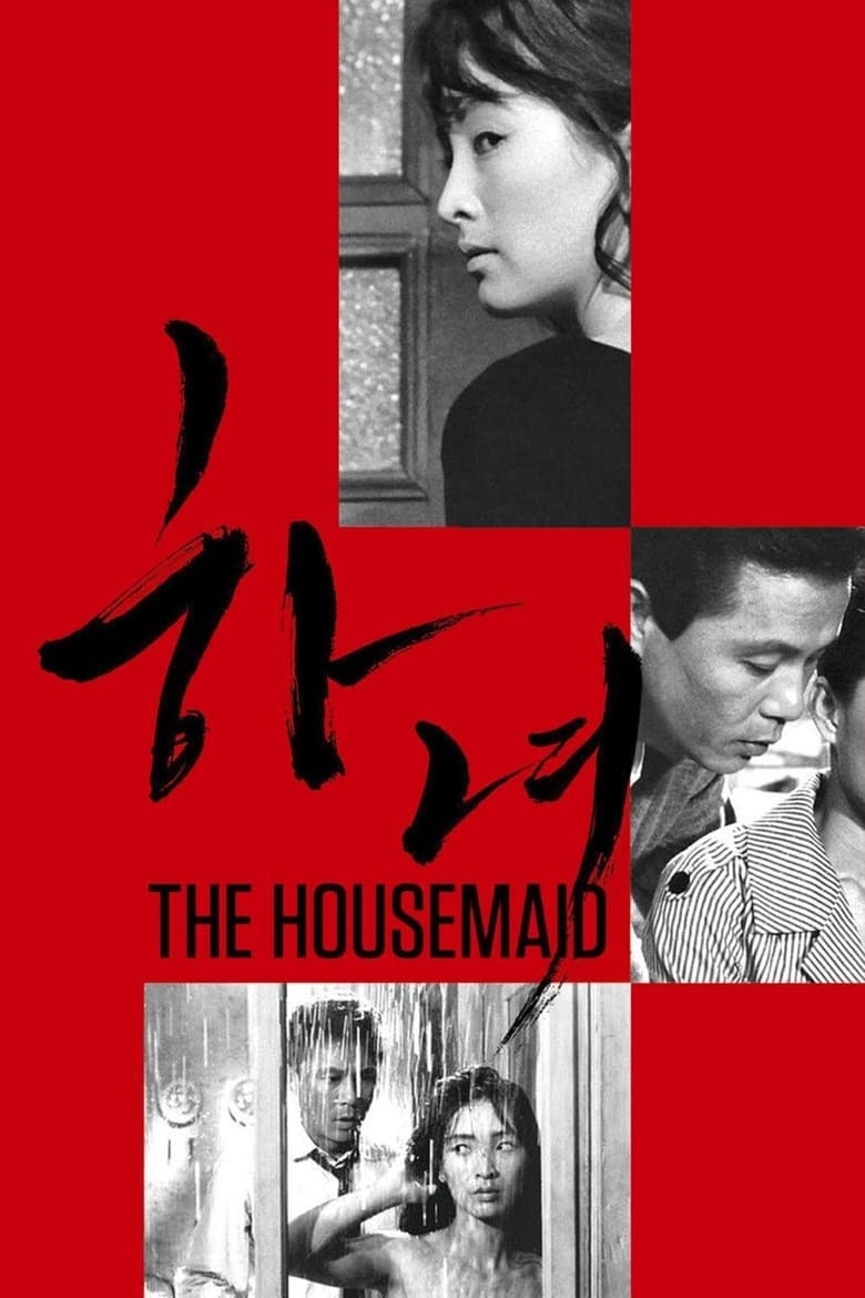 Poster of The Housemaid