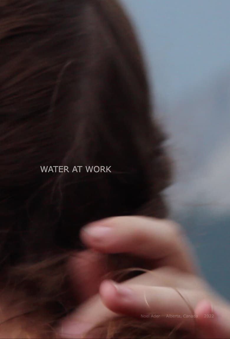 Poster of Water at Work