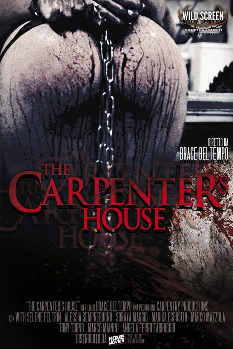 Poster of The Carpenter's House