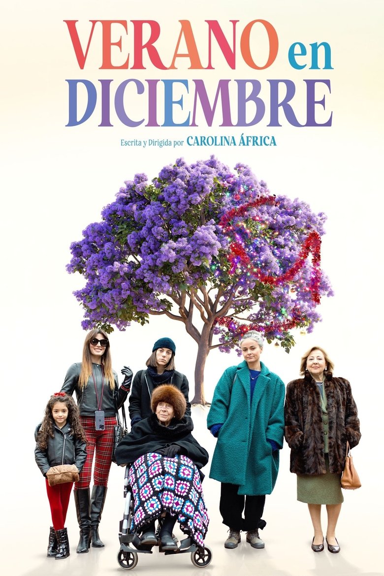 Poster of Summer In December