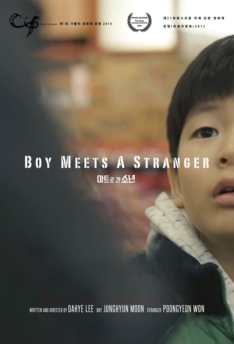 Poster of Boy Meets a Stranger