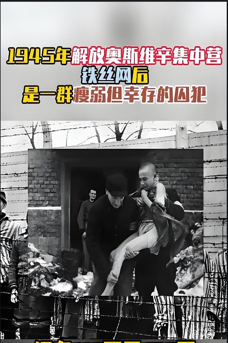 Poster of 奥斯维辛集中营