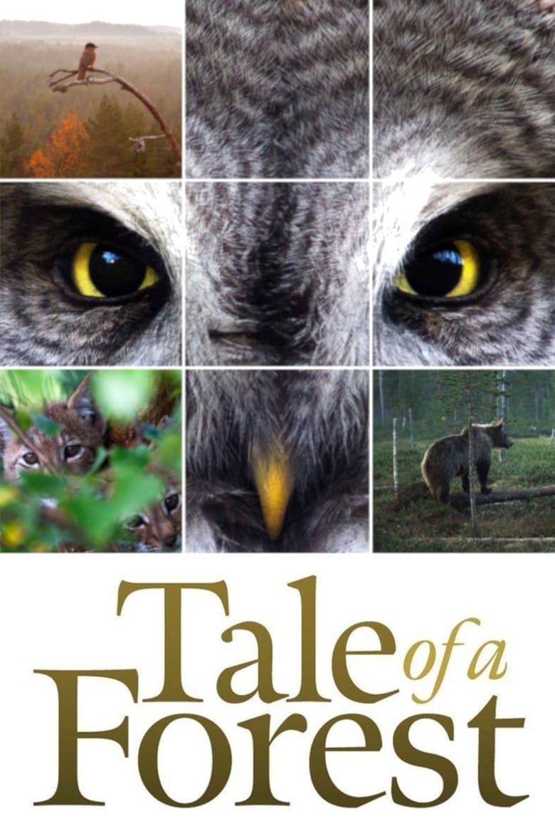 Poster of Tale of a Forest