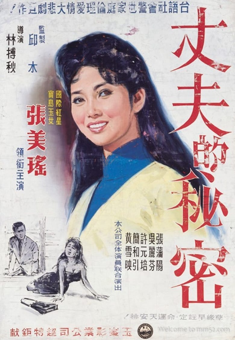 Poster of The Husband's Secret