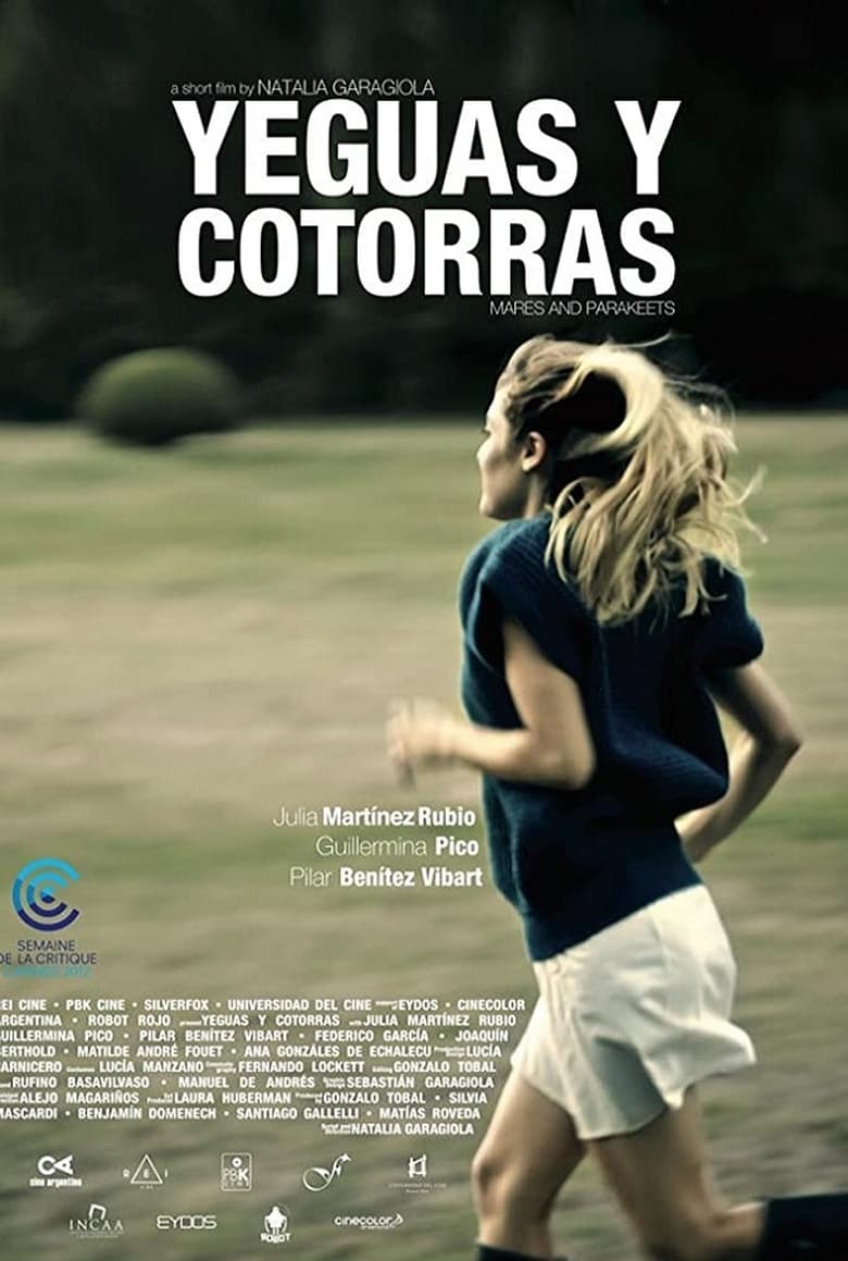 Poster of Yeguas y cotorras