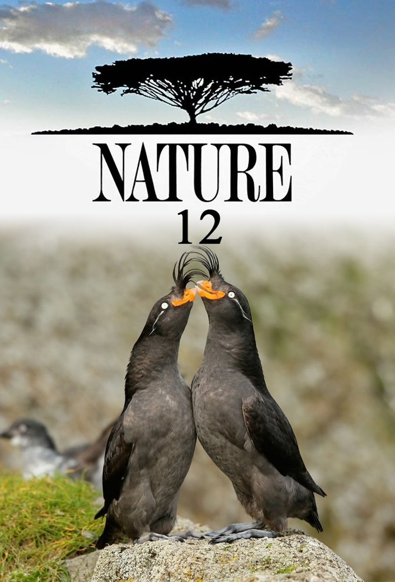 Poster of Episodes in Nature - Season 12 - Season 12