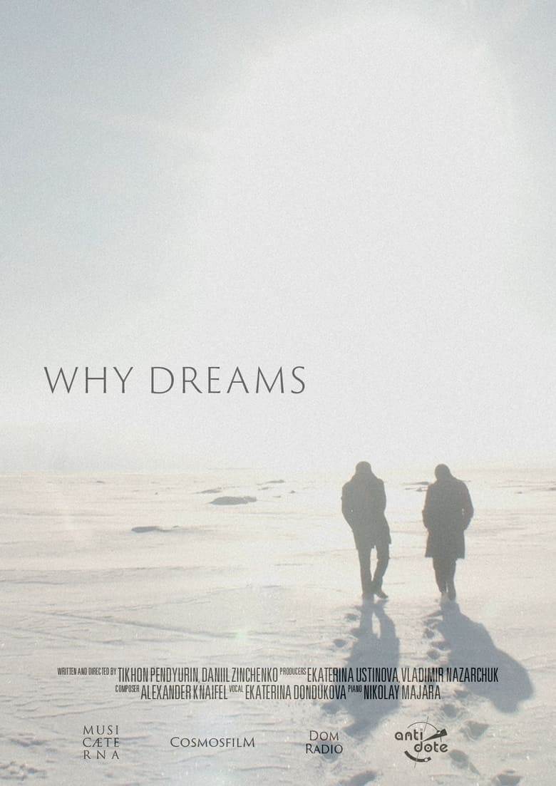 Poster of Why Dreams