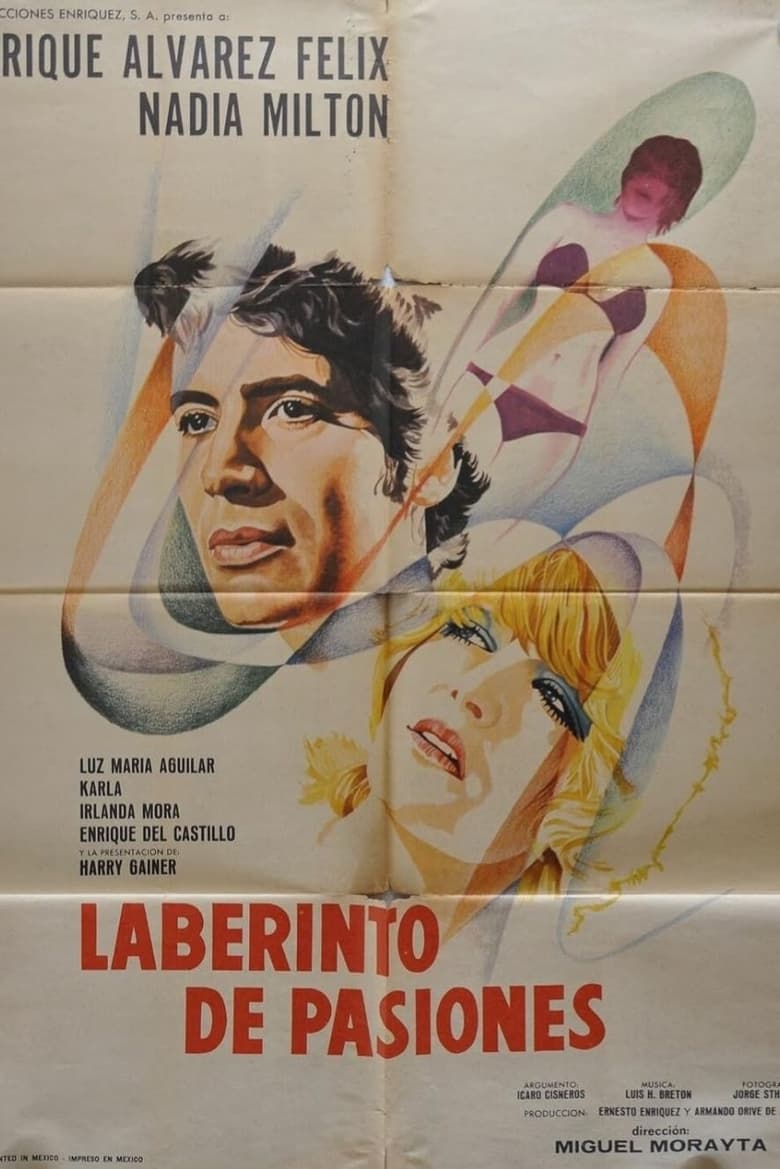 Poster of Labyrinth of Passion