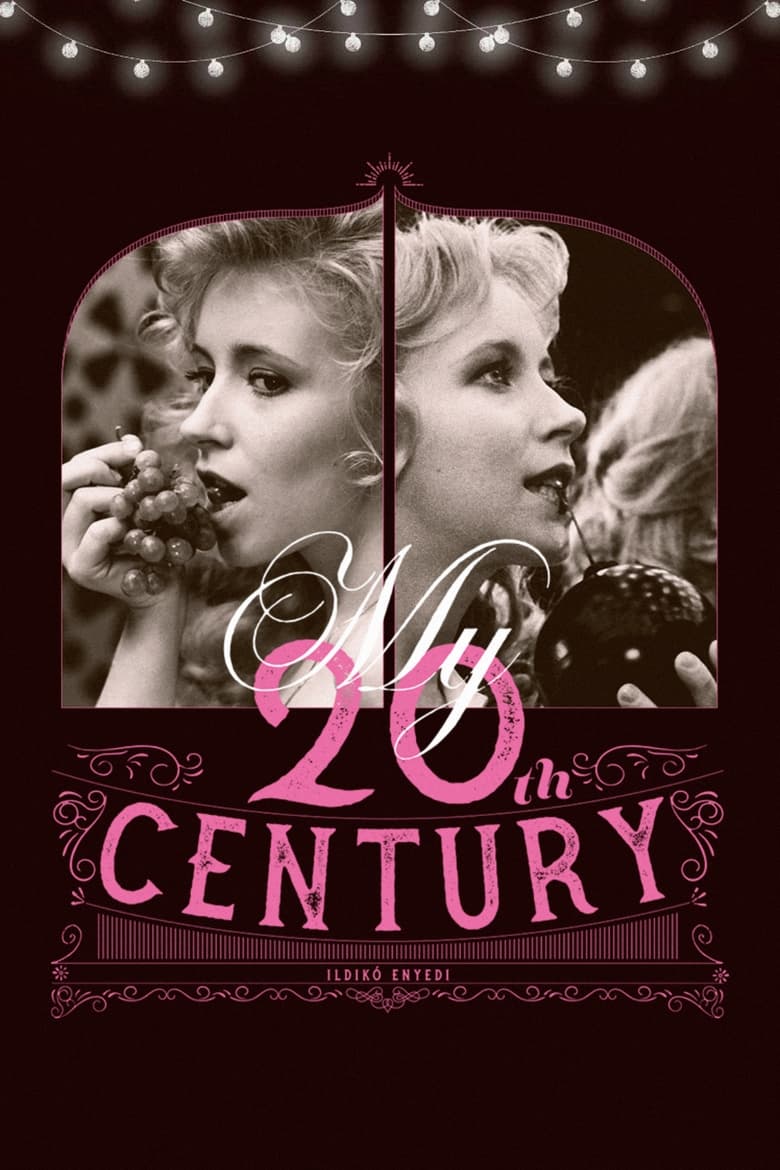 Poster of My Twentieth Century