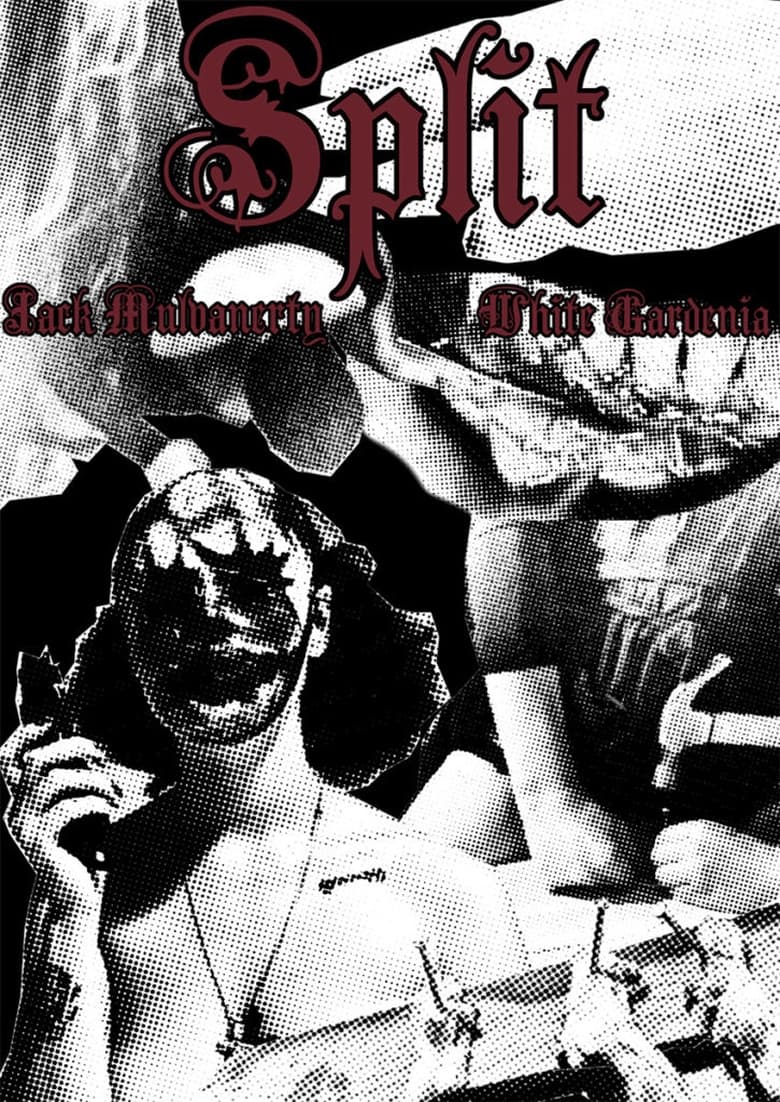 Poster of Split