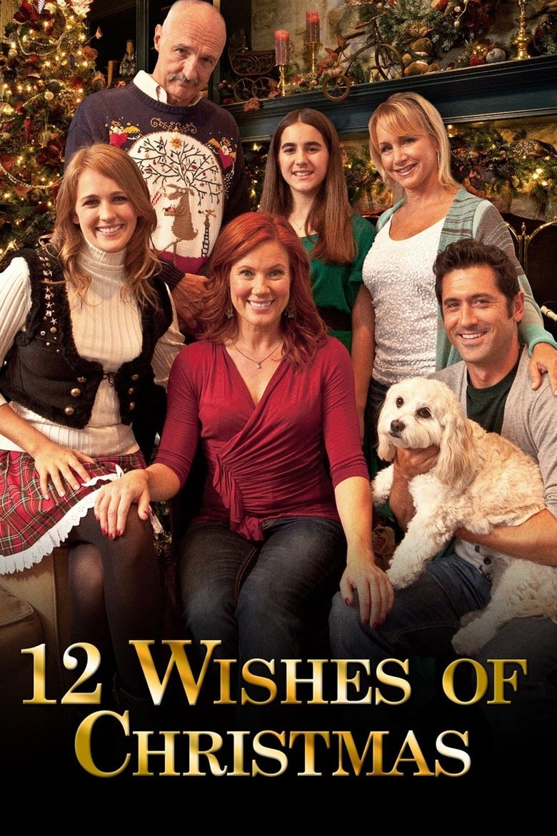 Poster of 12 Wishes of Christmas