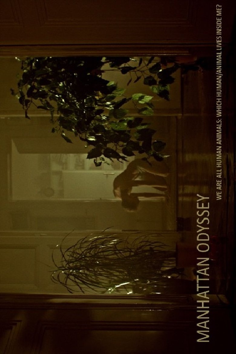 Poster of Manhattan Odyssey