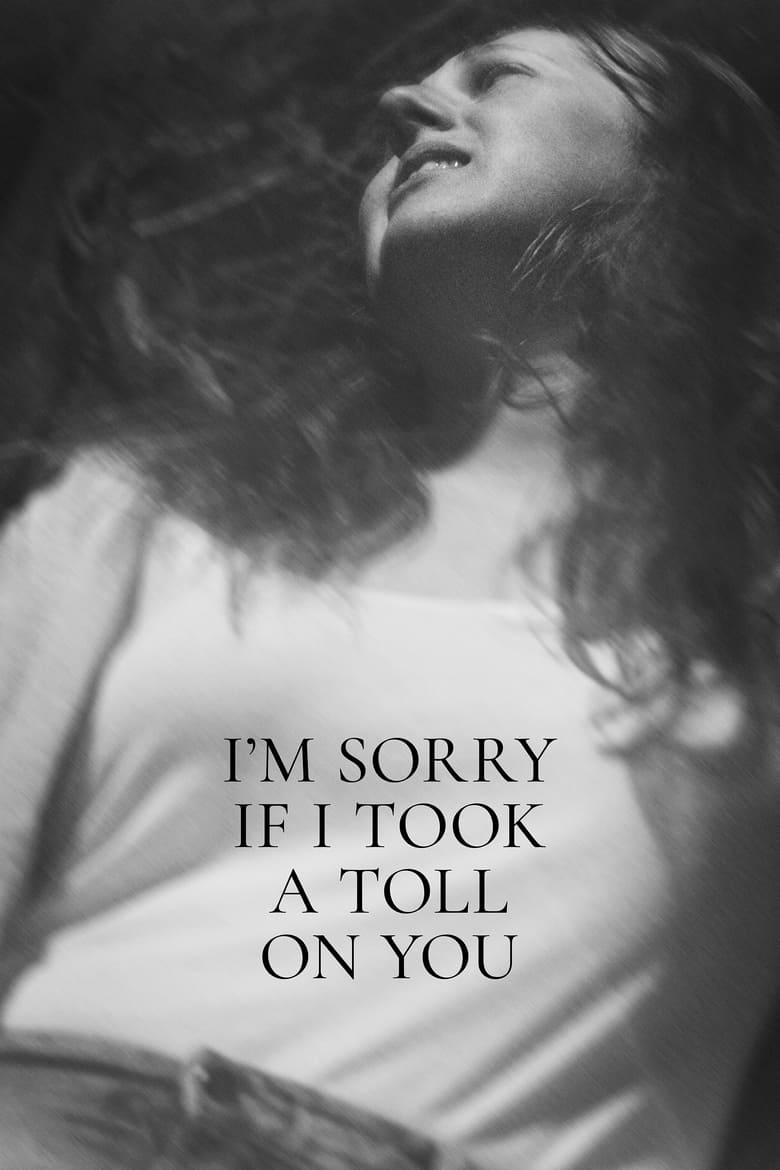 Poster of I'm Sorry If I Took a Toll on You