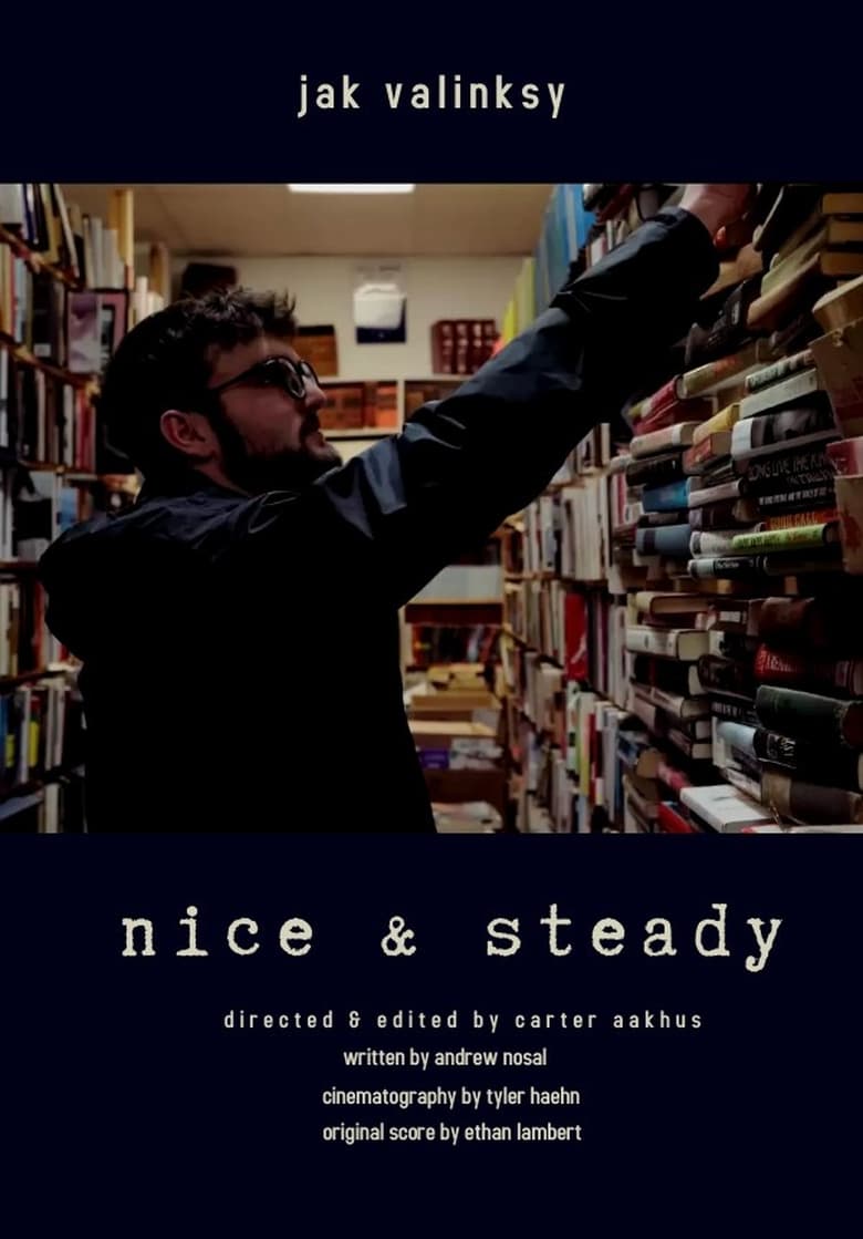 Poster of Nice & Steady