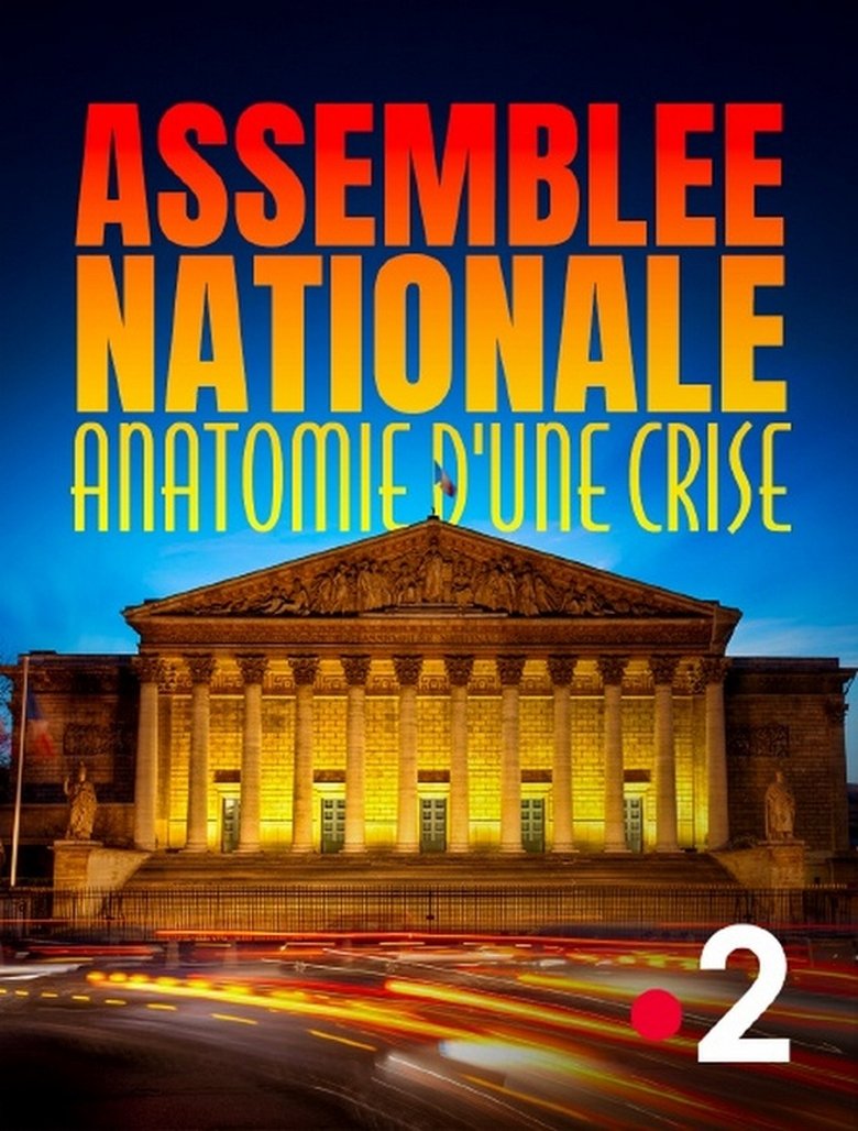 Poster of Assemblée nationale, anatomie d'une crise