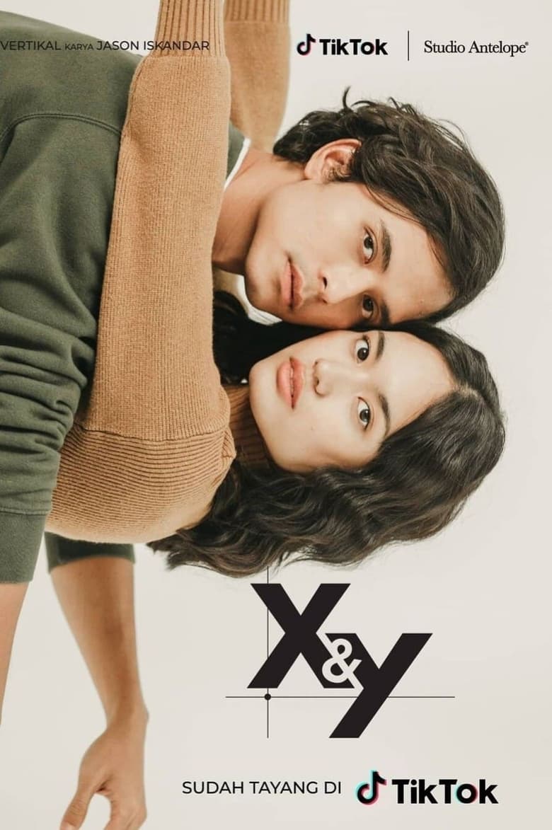 Poster of X&Y