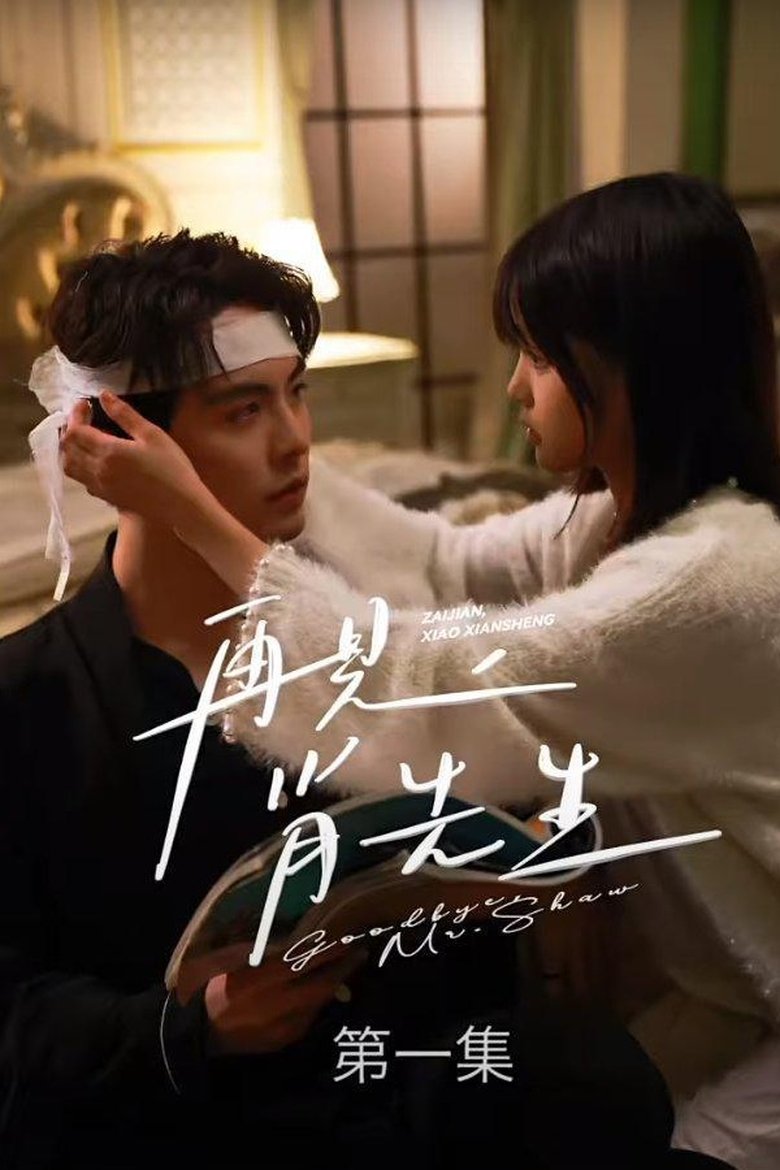 Poster of 再见了，肖先生