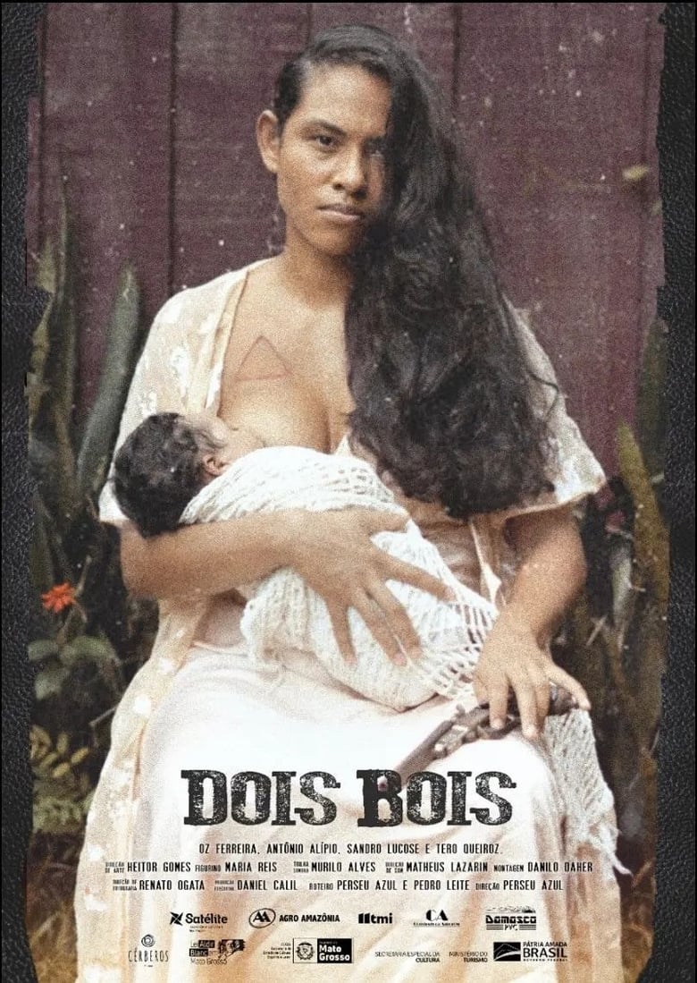 Poster of Dois Bois