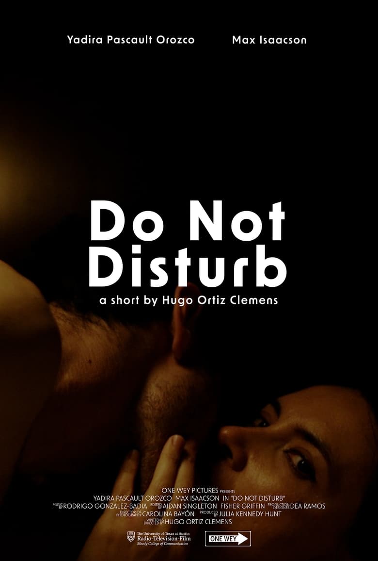 Poster of Do Not Disturb