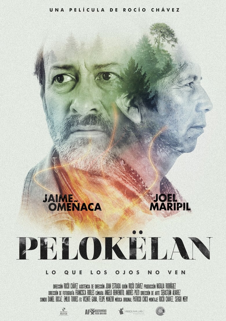 Poster of Pelokëlan