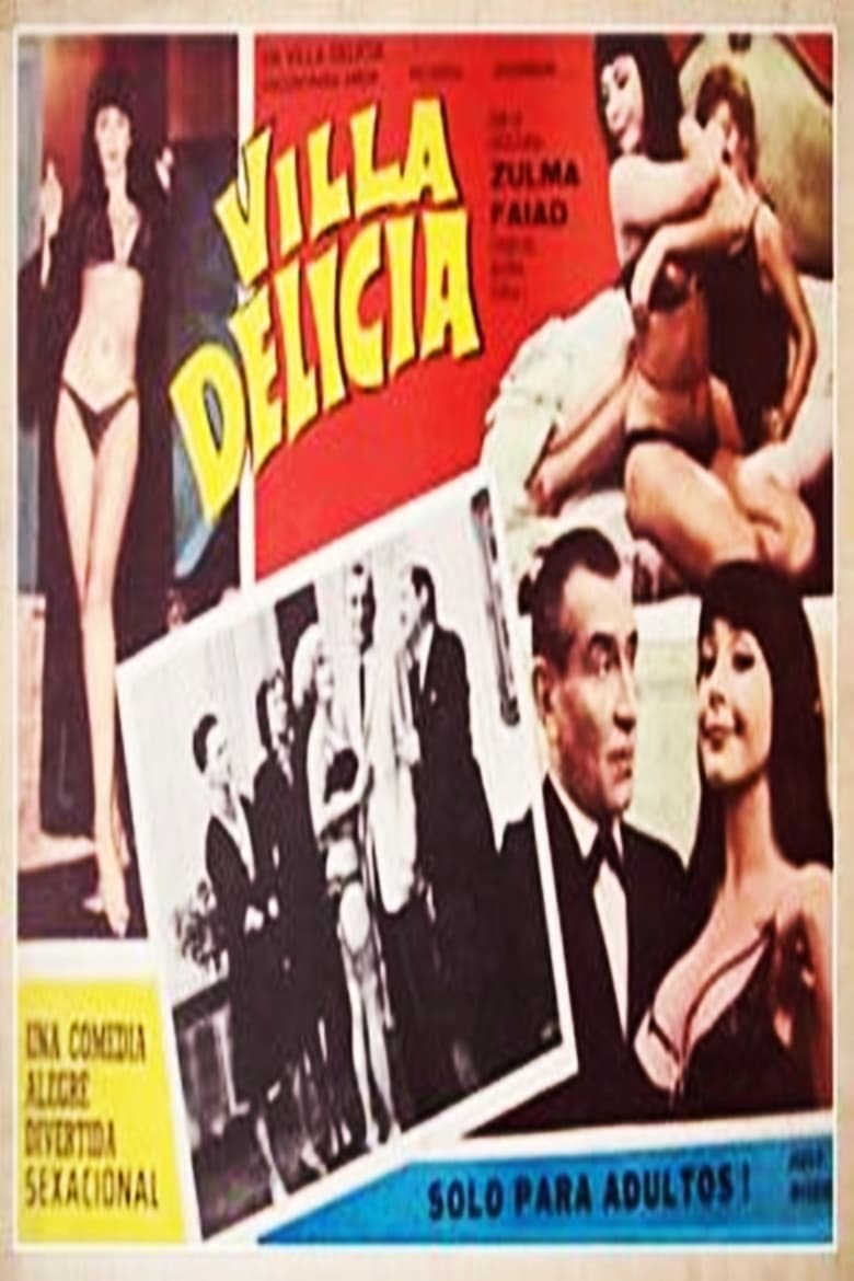 Poster of Villa Delicia, playa de estacionamiento, música ambiental