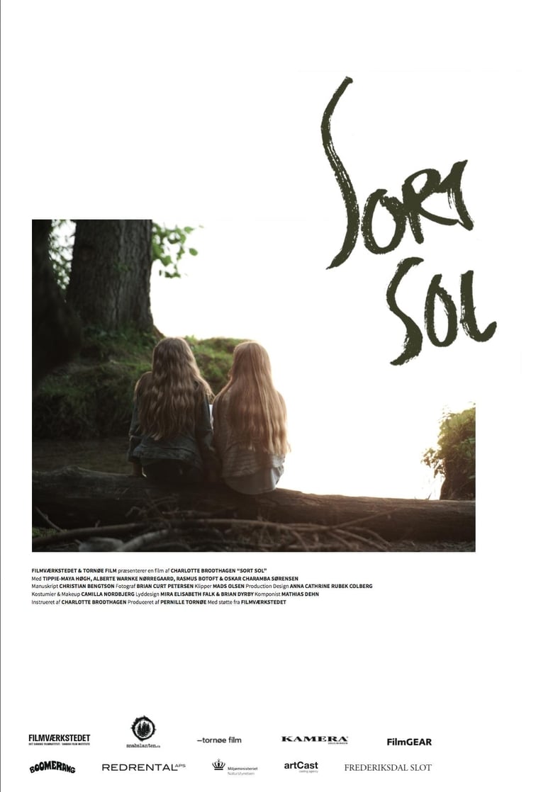 Poster of Sort sol