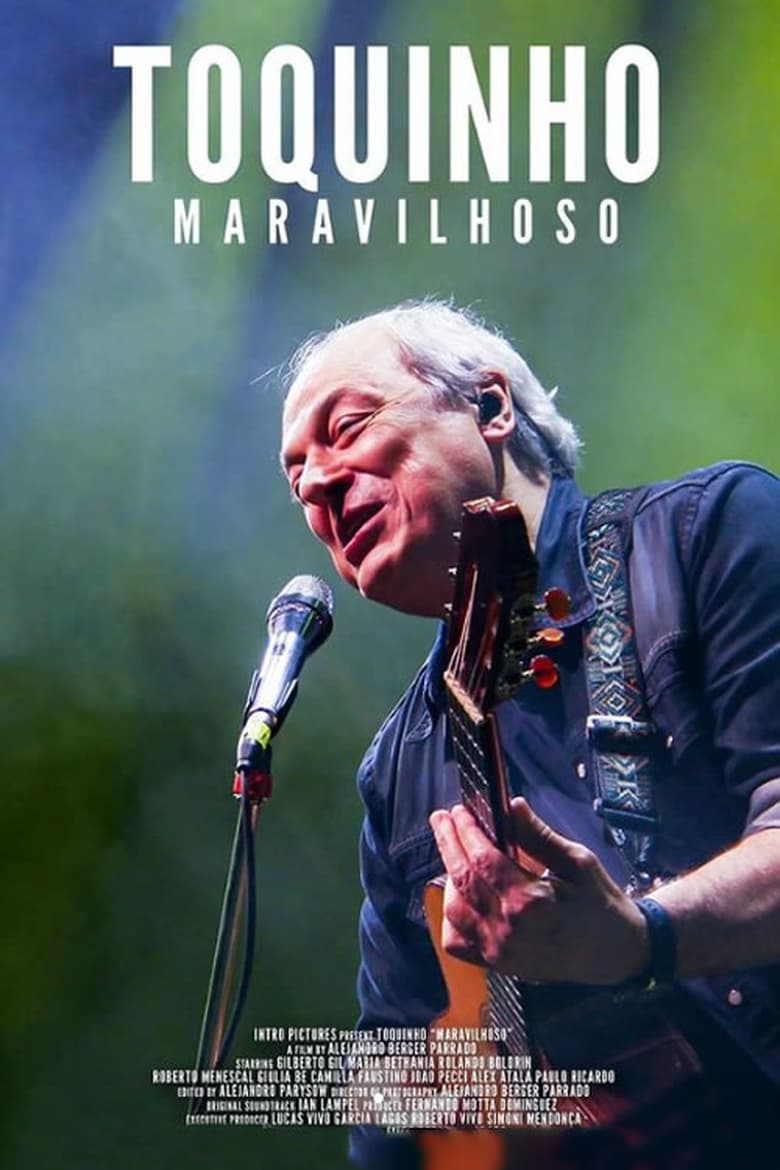 Poster of Toquinho Maravilhoso