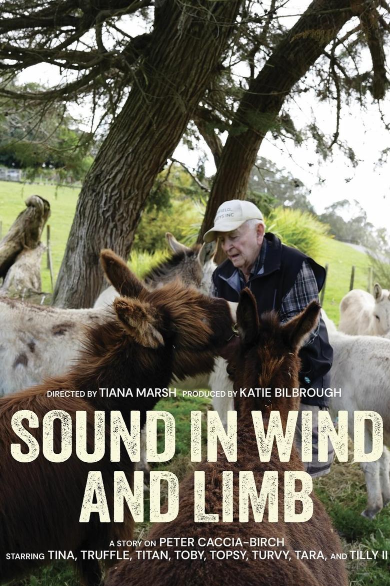 Poster of Sound in Wind and Limb