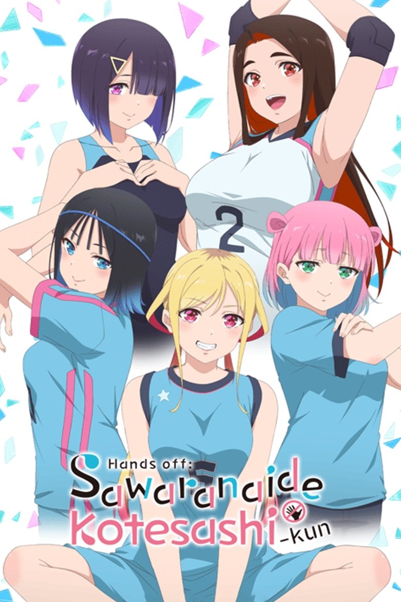 Poster of Hands off: Sawaranaide Kotesashi-kun