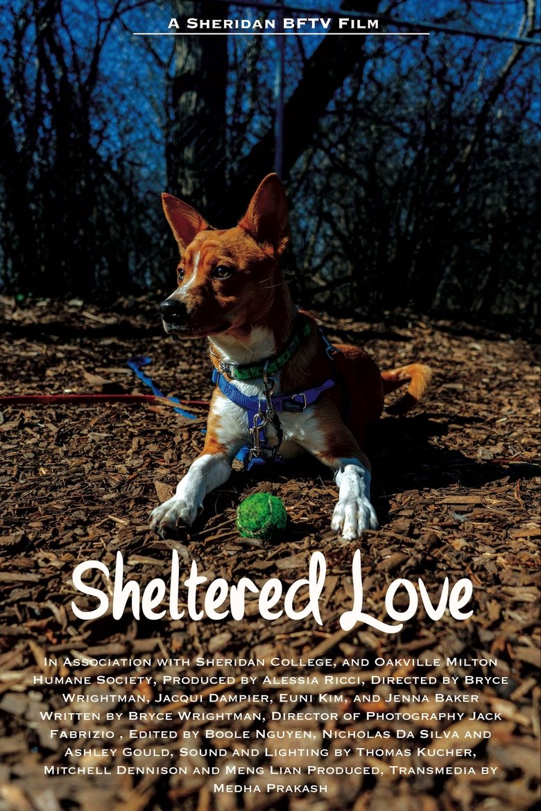 Poster of Sheltered Love