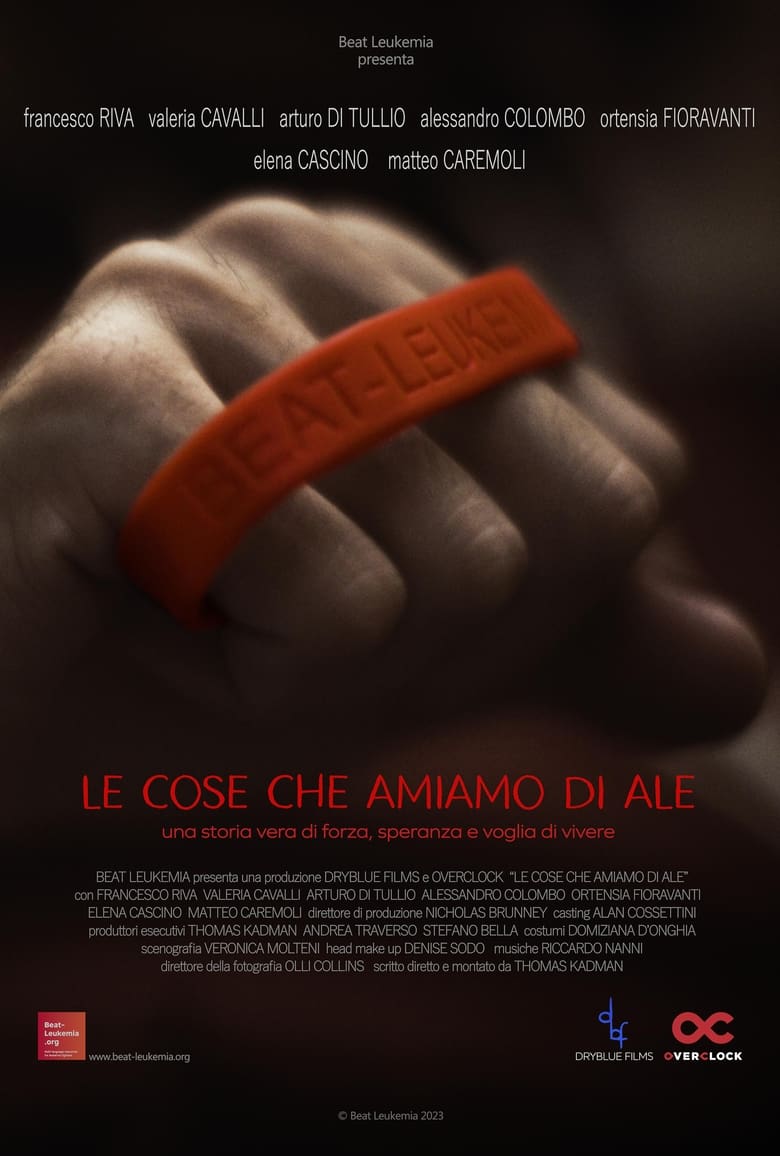 Poster of Le cose che amiamo di Ale