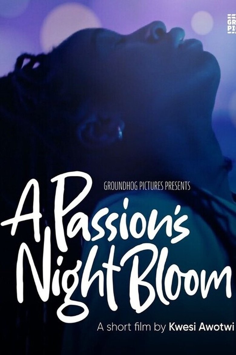Poster of A Passion's Night Bloom