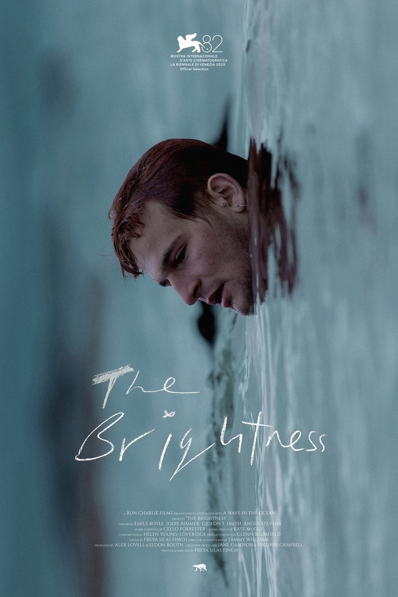 Poster of The Brightness
