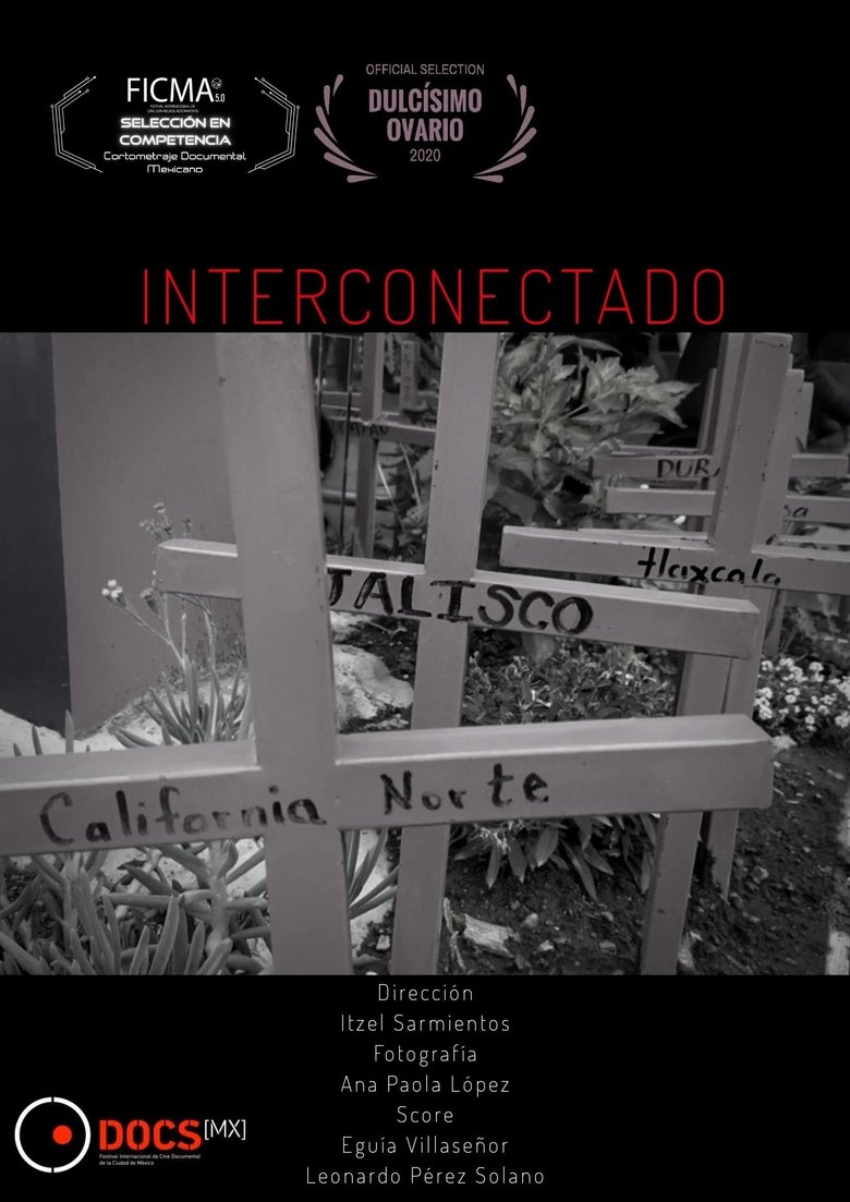 Poster of Interconectado