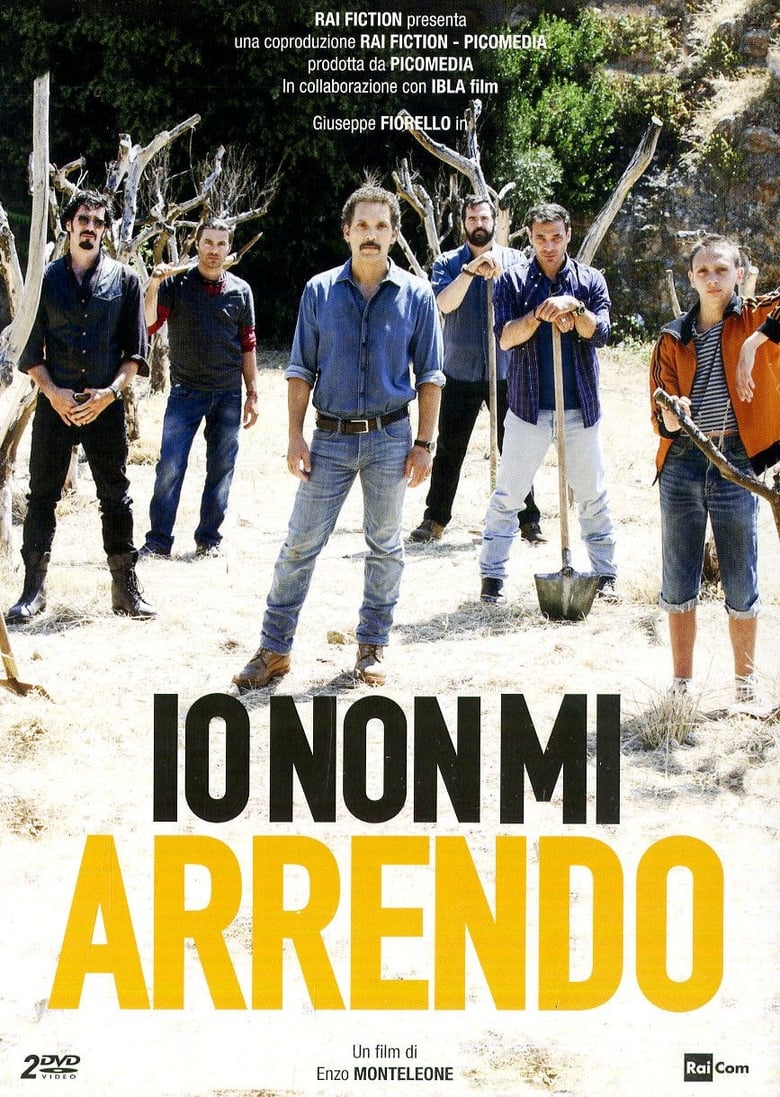 Poster of Io non mi arrendo