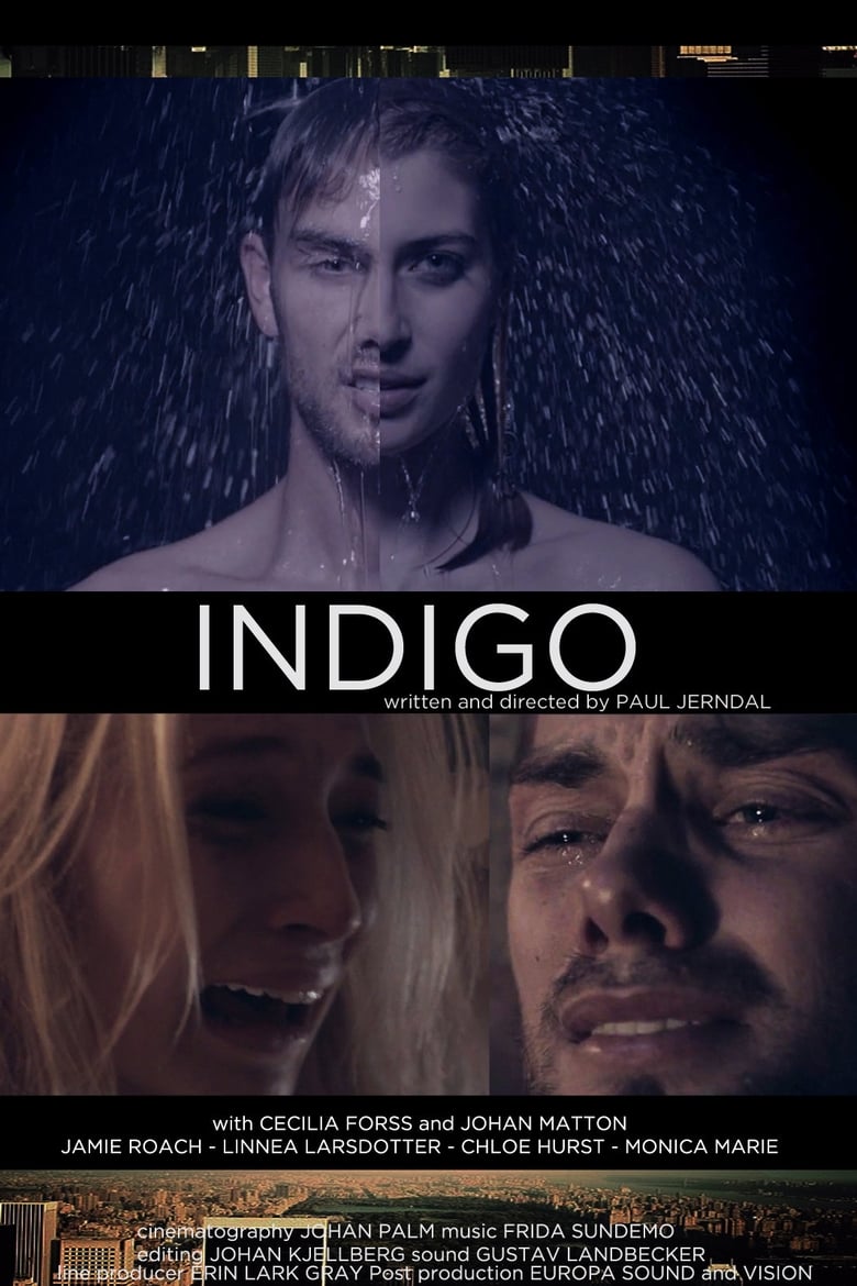 Poster of Indigo