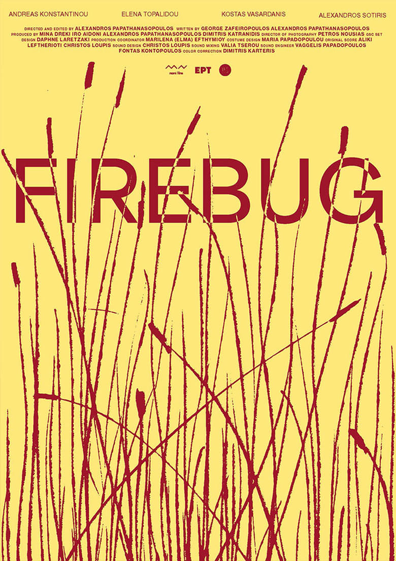 Poster of Firebug