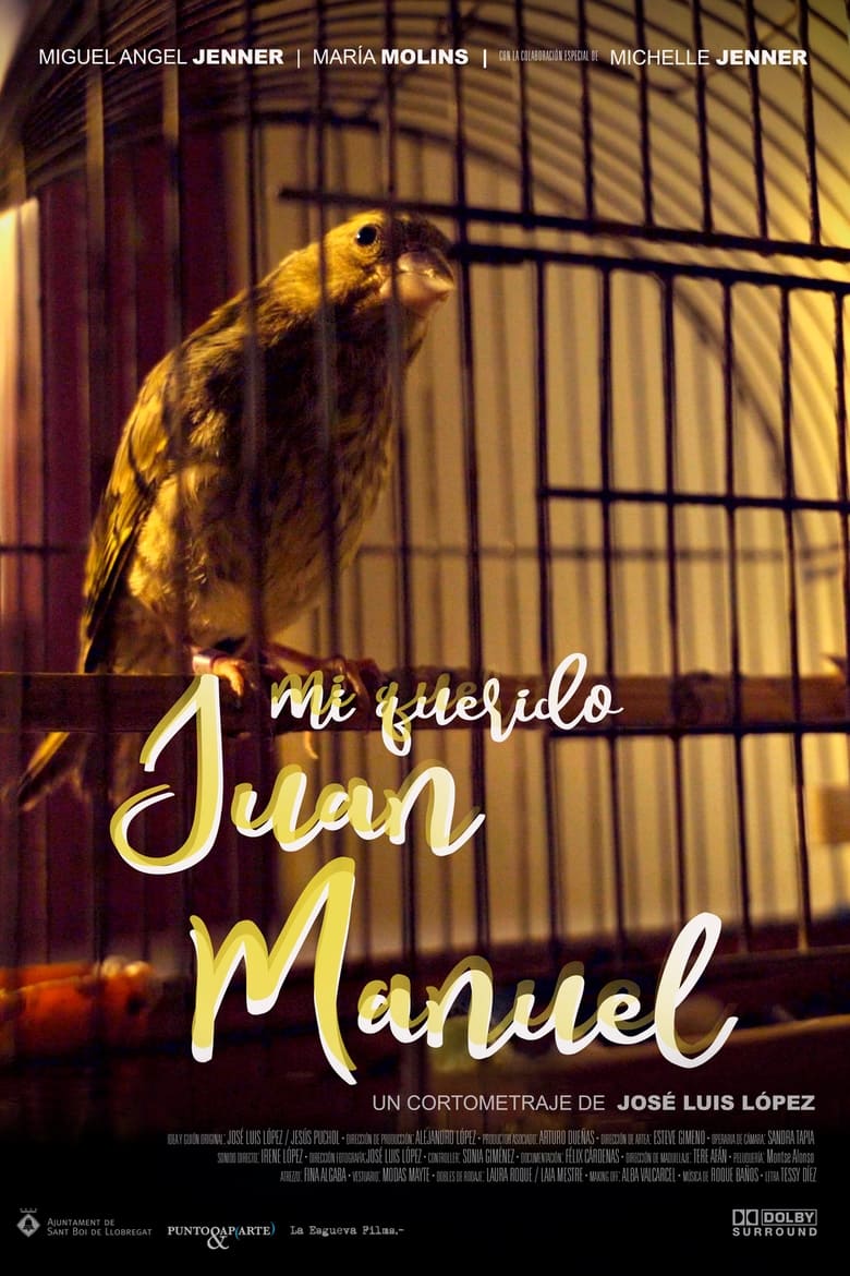 Poster of Mi querido Juan Manuel